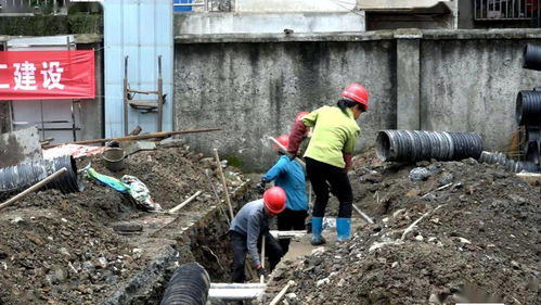 城區(qū)排水防澇建設工程全面開工，筑牢城市安全防線